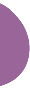 bola roxa banner